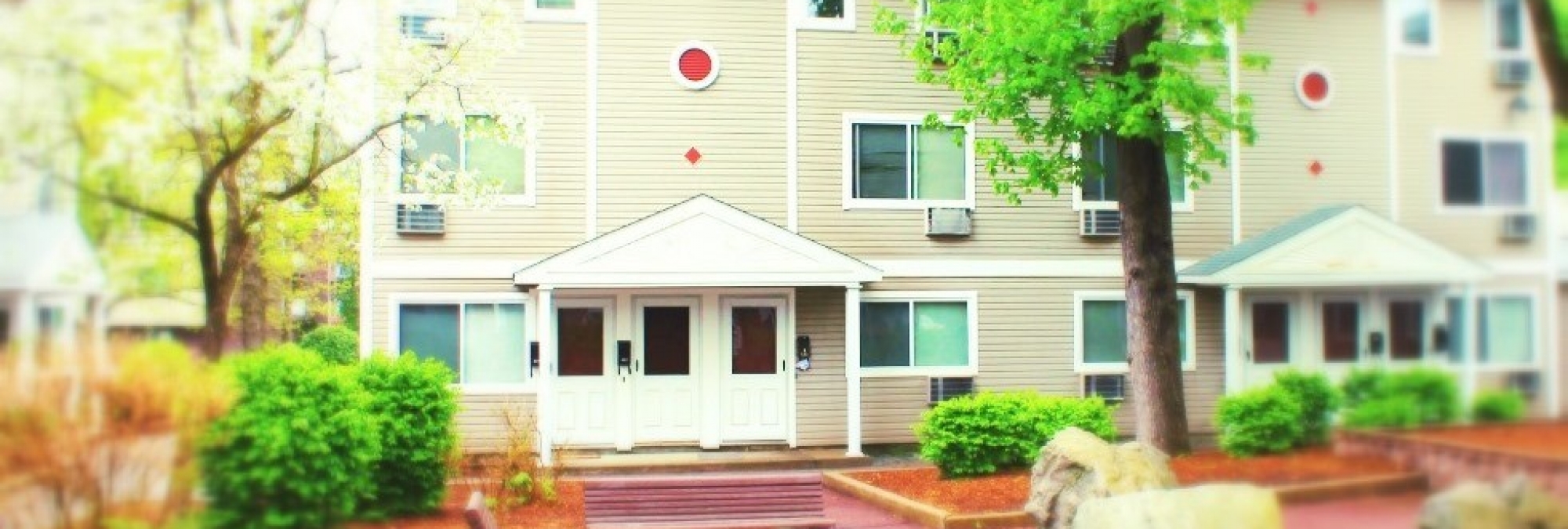 Pine Homes Final Website Pic 8.14 crop