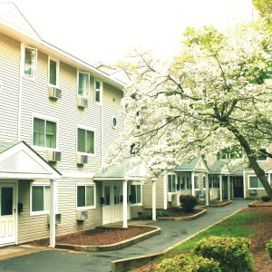 Pine Homes Development pic good blossoms 5.14 Better Edit